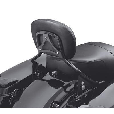 H-D Detachables Sissy Bar Upright