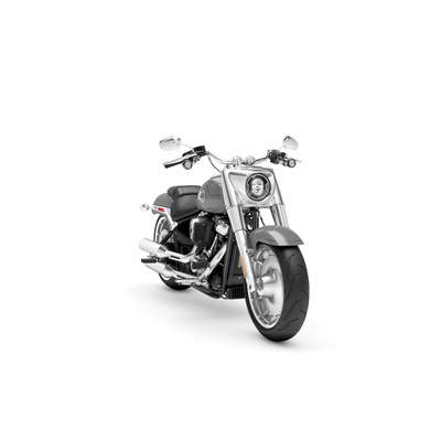 2025 Harley-Davidson FAT BOY™ - Billiard Gray