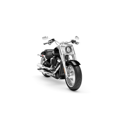 2025 Harley-Davidson FAT BOY™ - Vivid Black