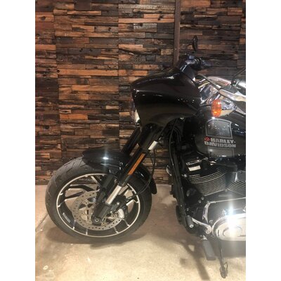 2021 Harley-Davidson 1700CC FLSB SPORT GLIDE (107) CRUISER