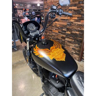 2019 HARLEY-DAVIDSON 1200CC XL1200NS IRON 1200 CRUISER