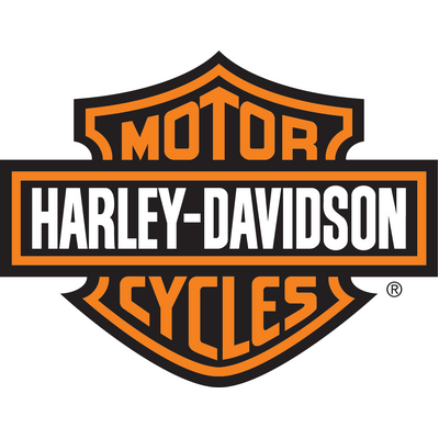 Harley-Davidson Detachable Two-Up Luggage Rack