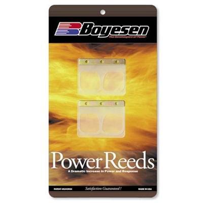 Boyesen Power Reeds Washer