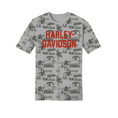 Harley-Davidson Mens Wizard Tee - Vapor