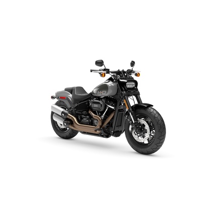 2025 Harley-Davidson FAT BOB™ 114 FINAL EDITION - Billiard Gray