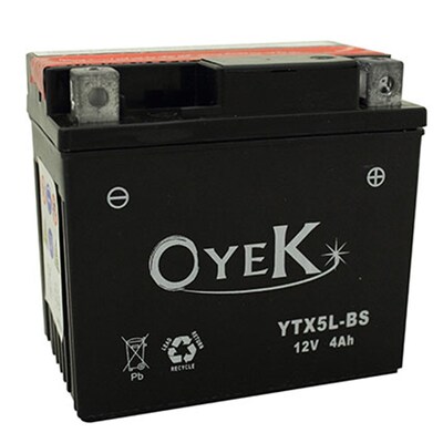 Oyek YTX14-BS AGM Maintenance Free Battery